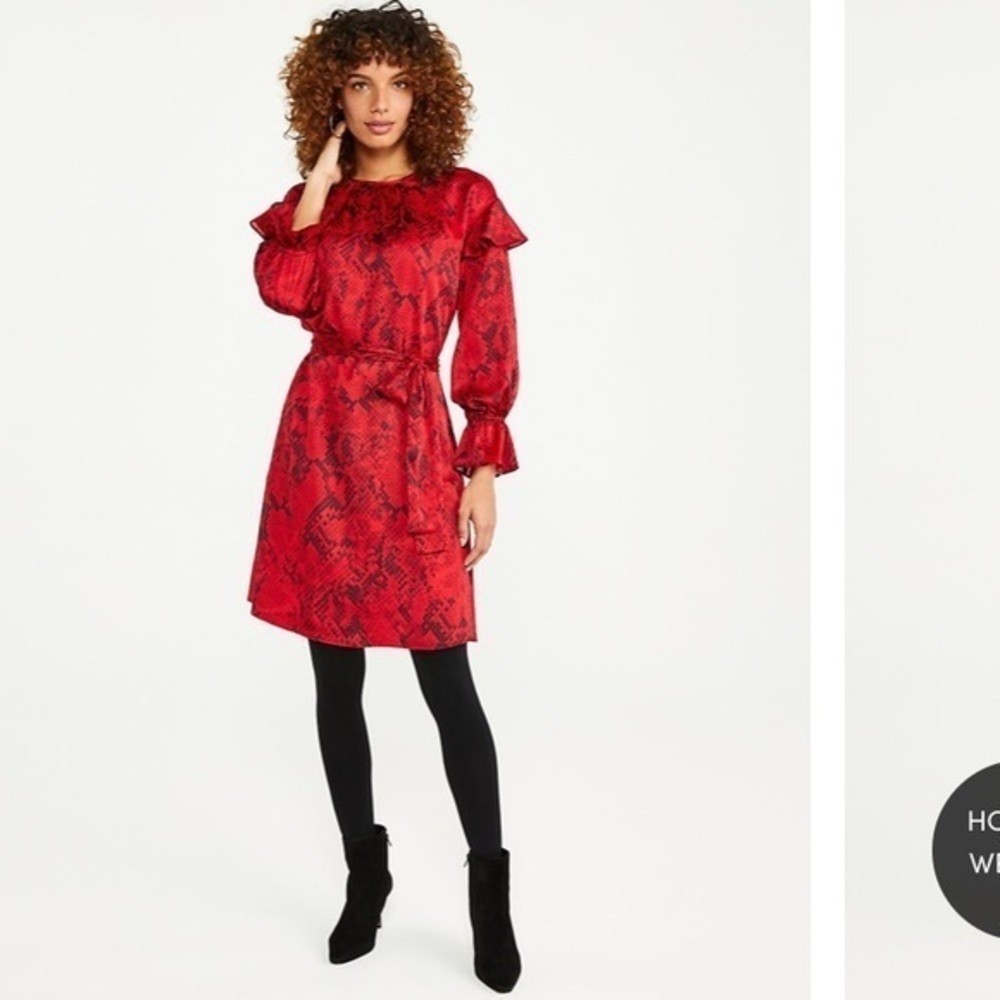 Ann Taylor Python Print Tie Waist Flare Dress